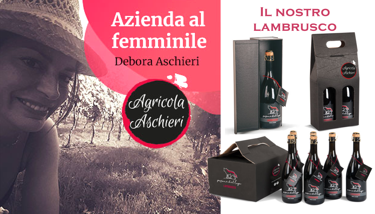 Azienda agri-vitivinicola Aschieri.Un'azienda