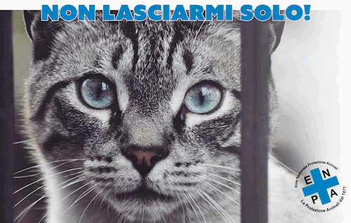 Non lasciarmi solo