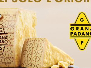 Grana Padano DOP