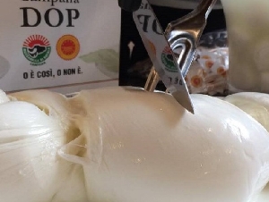 MOZZARELLA DI BUFALA DOP