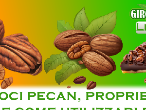 Noci pecan, proprietà e come utilizzarle