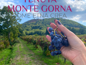 Catania, Tenuta Monte Gorna