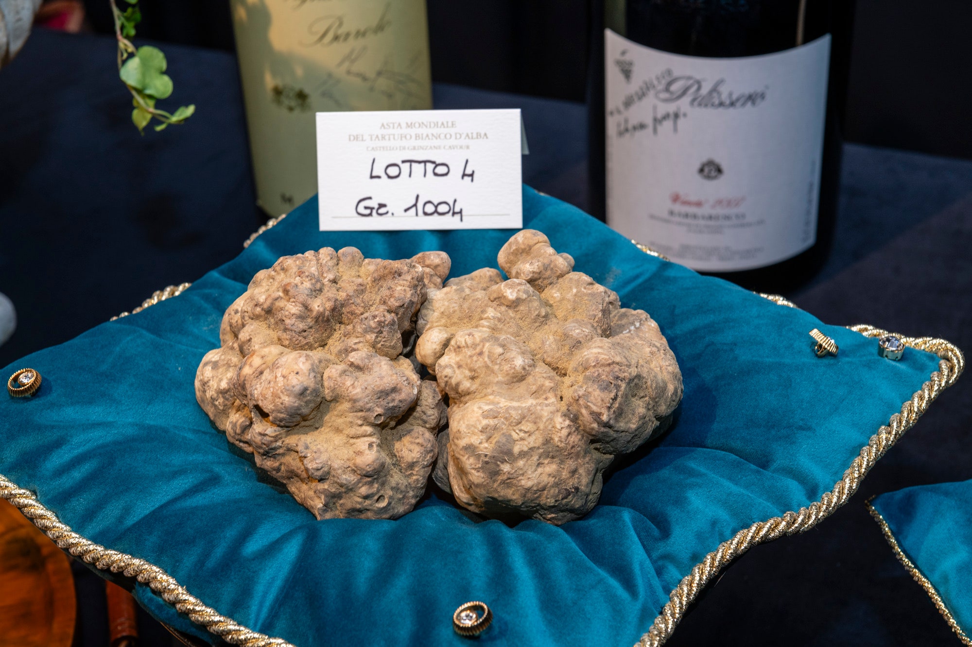 Il tartufo bianco da 130mila euro (per beneficenza)