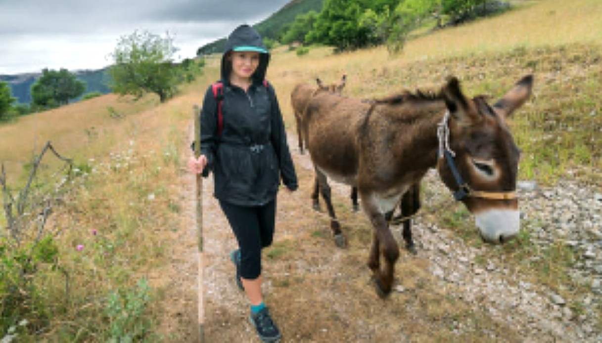 Azienda fallisce, asini all’asta. Gli animalisti: non macellateli: “Siamo pronti a comprarli noi”