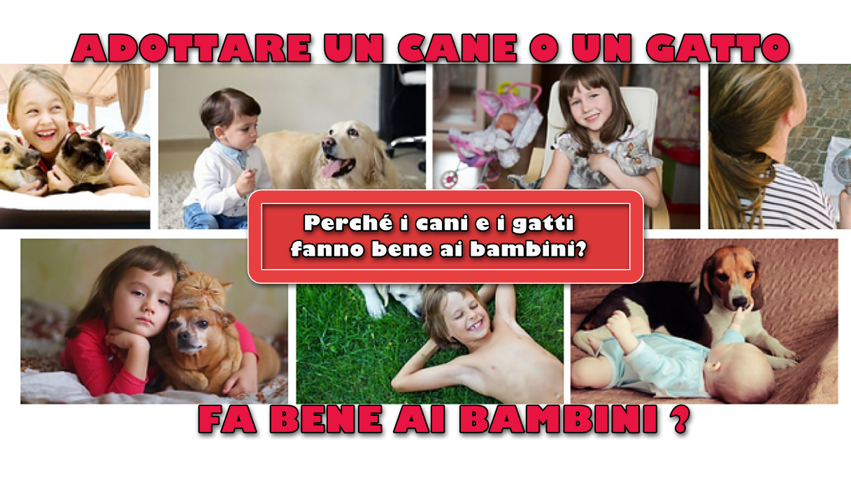 Adottare un cane o un gatto fa bene ai bambini? 