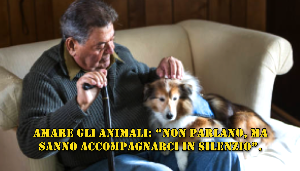 Amare gli animali: “Non parlano, ma sanno accompagnarci in silenzio”.