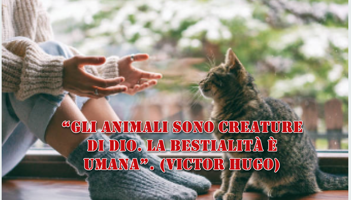 “Gli animali sono creature di Dio. La bestialità è umana”. (Victor Hugo)