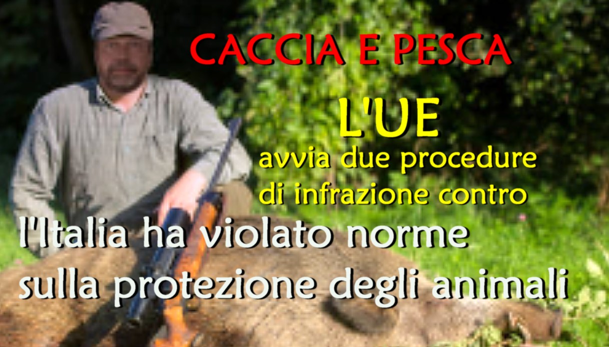 Caccia e pesca, l'Ue avvia due procedure di infrazione contro l'Italia: ha violato norme sulla protezione degli animali