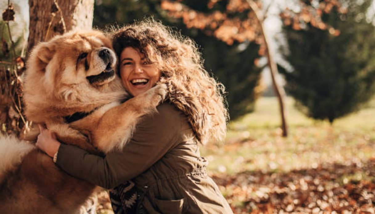 Chow chow e shar pei, le razze di cani con la lingua blu