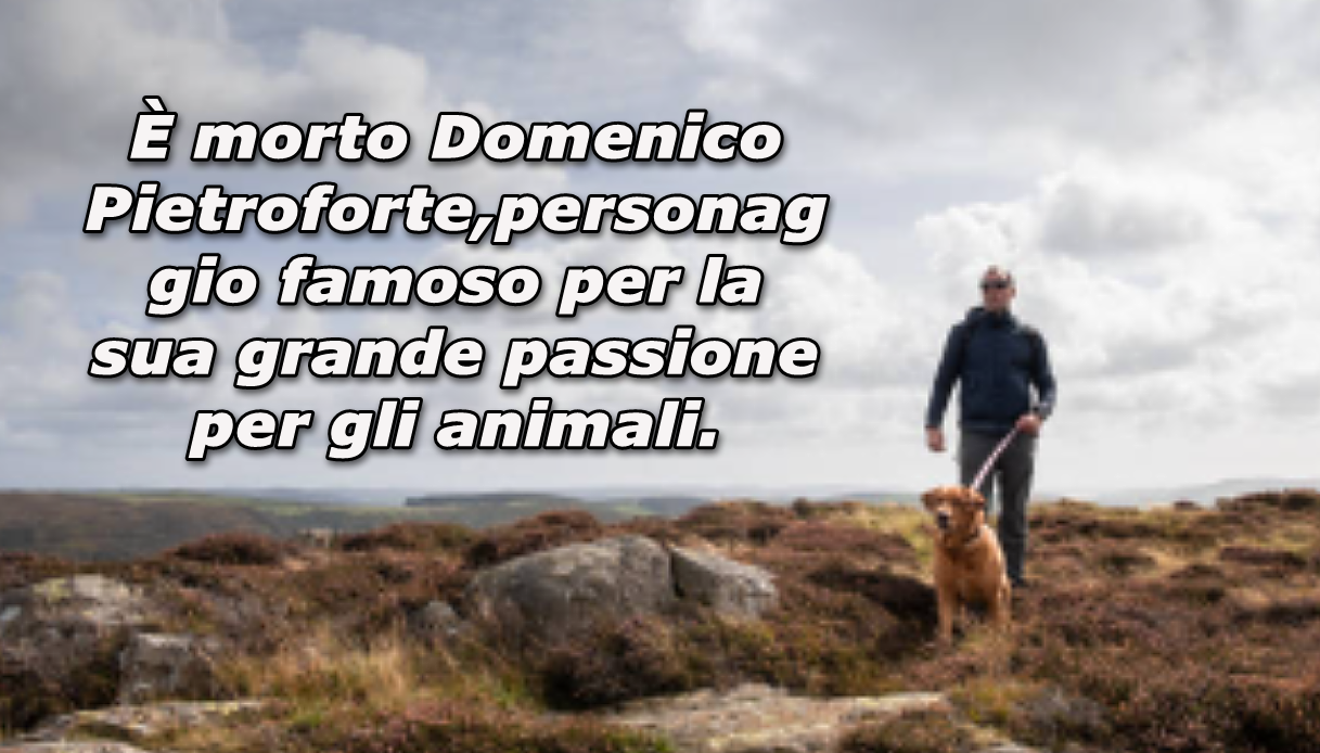  È morto Domenico Pietroforte,personaggio famoso per la sua grande passione per gli animali. 