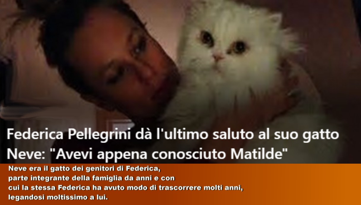 Federica Pellegrini dà l'ultimo saluto al suo gatto Neve: «Avevi appena conosciuto Matilde»