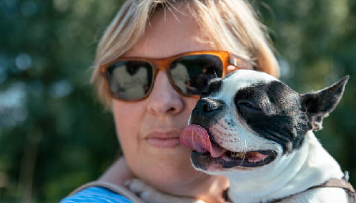 Finalmente adottato, questo Bulldog ha il cuore spezzato