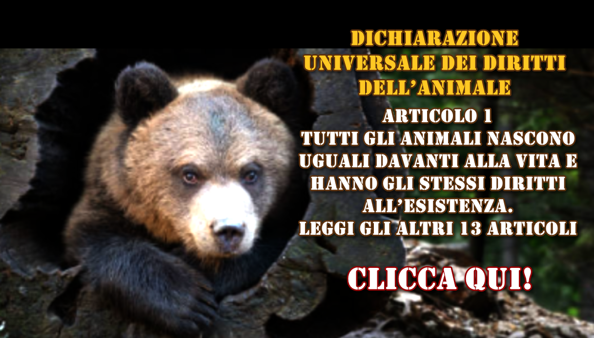 “Dichiarazione Universale dei Diritti dell’Animale”, 