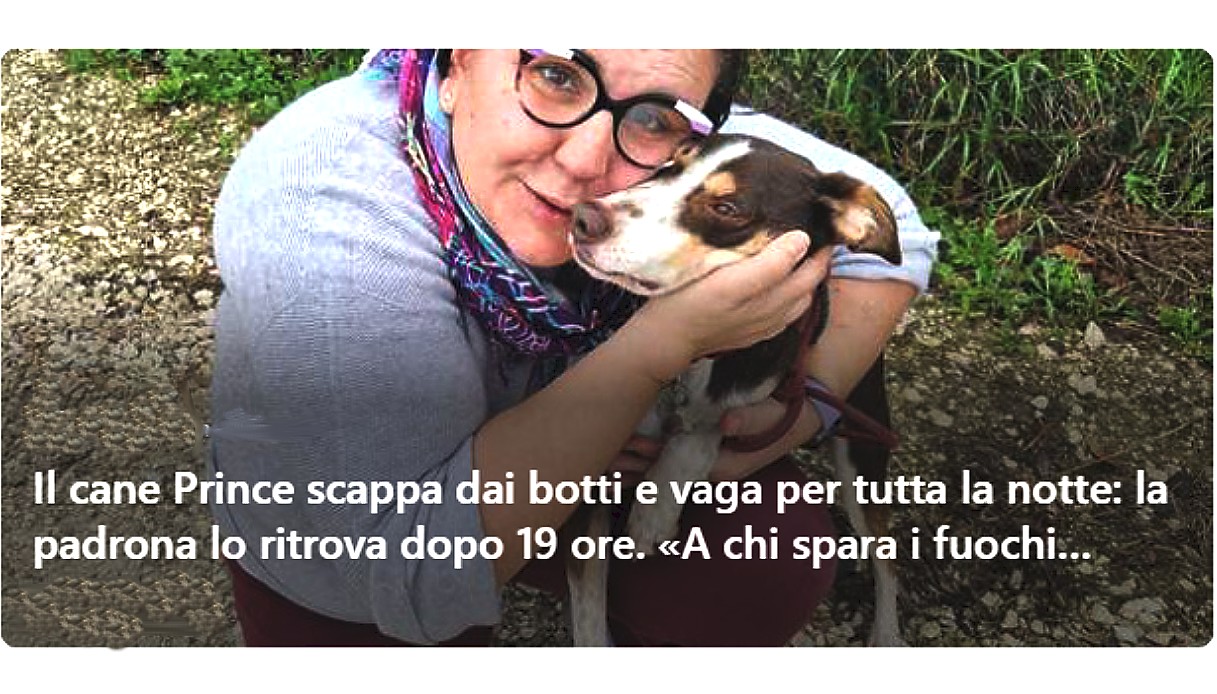  Prince scappa dai botti e vaga per tutta la notte: la padrona lo ritrova dopo 19 ore. «A chi spara i fuochi auguro di vivere la mia stessa angoscia»