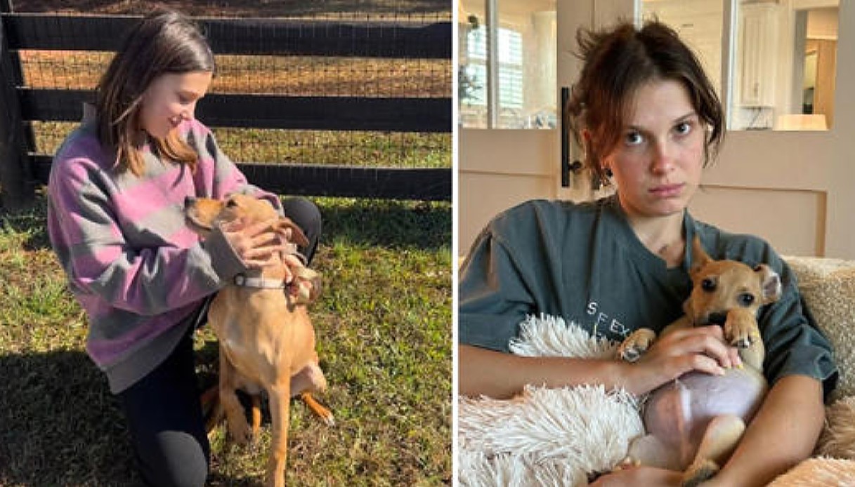 La scelta di Millie Bobby Brown e Jake Bongiovi sta piacendo a milioni di amanti degli animali