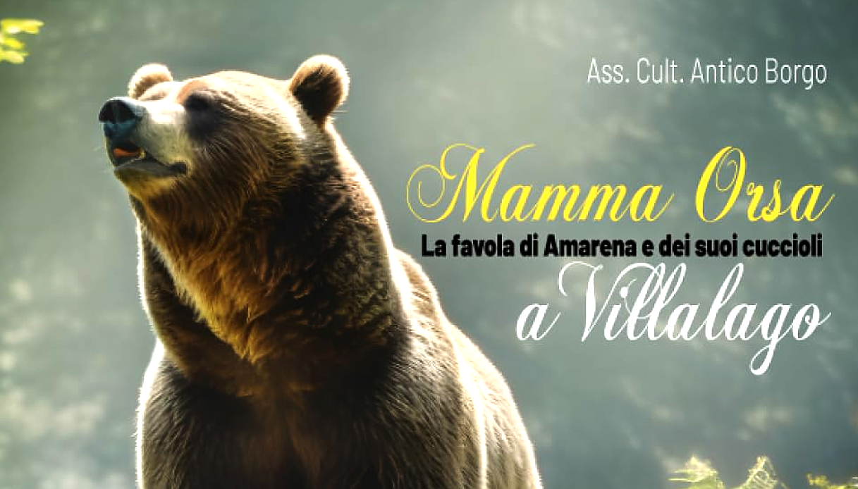 Mamma Orsa: La favola di Amarena e dei suoi cuccioli a Villalago 