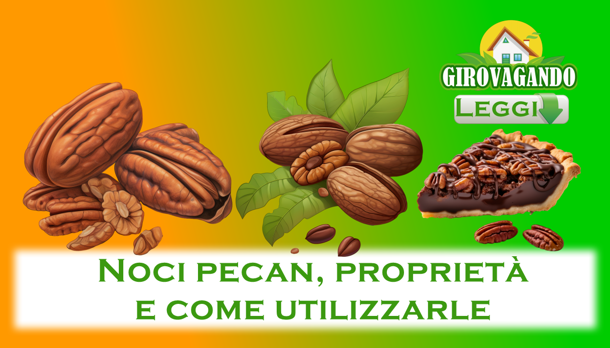 Noci pecan, proprietà e come utilizzarle