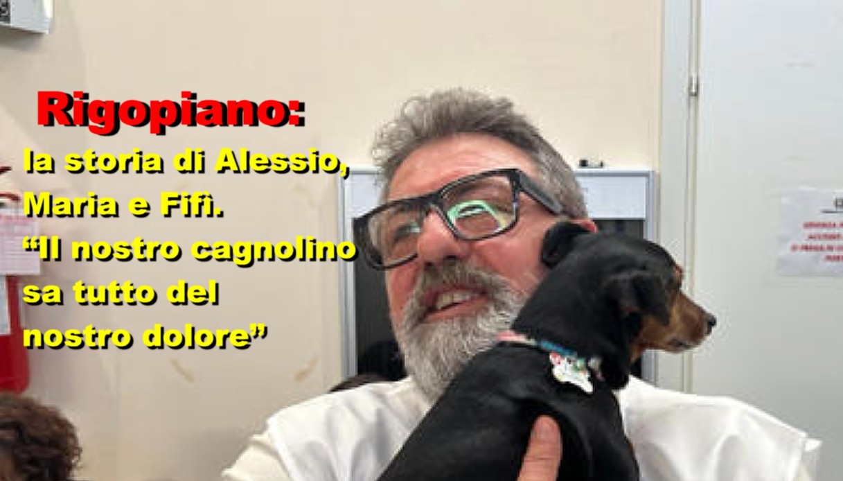 Rigopiano: la storia di Alessio, Maria e Fifì. “Il nostro cagnolino sa tutto del nostro dolore”