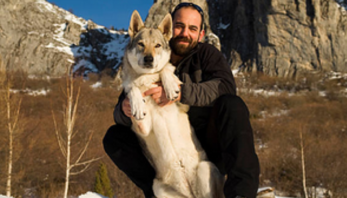 Il Cane Oreste è stato ucciso con un colpo di fucile da un cacciatore ,lo aveva scambiato per un lupo selvatico