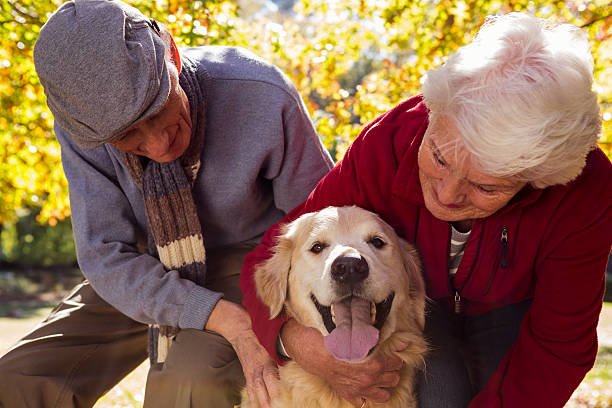 Trascorrere tempo con un cane riduce lo stress e aumenta la concentrazione, secondo uno studio