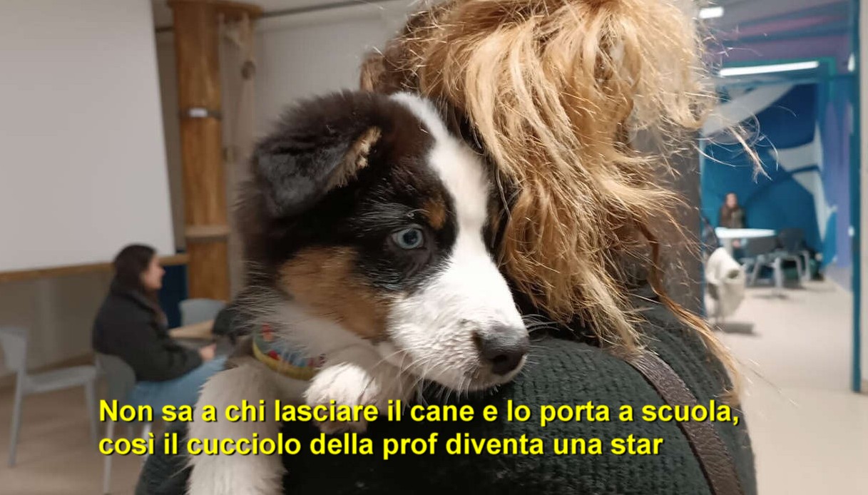 Non sa a chi lasciare il cane e lo porta a scuola, così il cucciolo della prof diventa una star