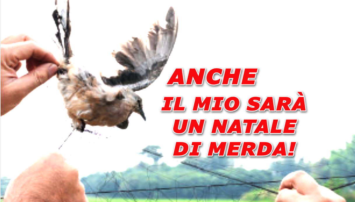 Bracconaggio.Me ne stavo appostato all’alba in un frutteto nella campagna cesenate aspettando che gli uccelli selvatici finissero nella sua trappola 