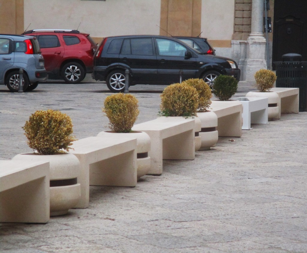 Piazza bologni, fioriere con piante secche *segnalazione*