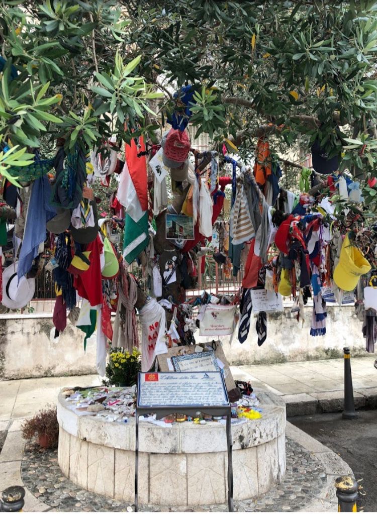 Palermo, l'albero della pace di via d'amelio dichiarato bene ''di interesse culturale''