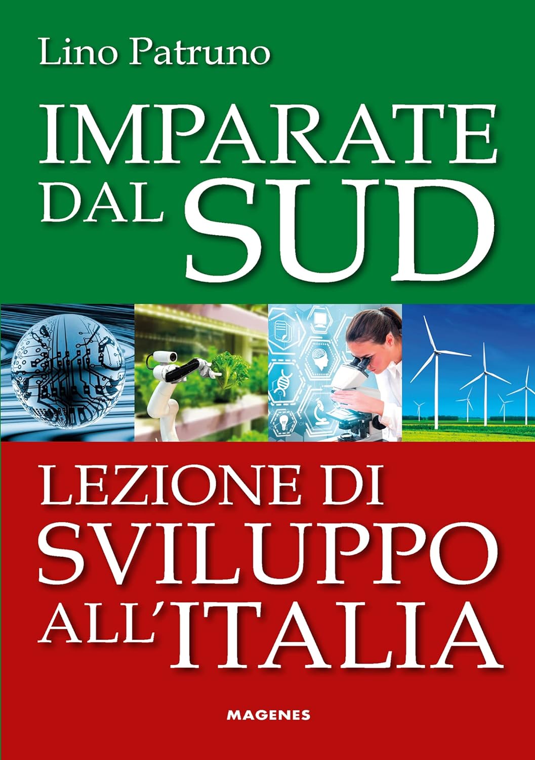 ''imparate dal sud. lezione di sviluppo all'italia'' di lino patruno